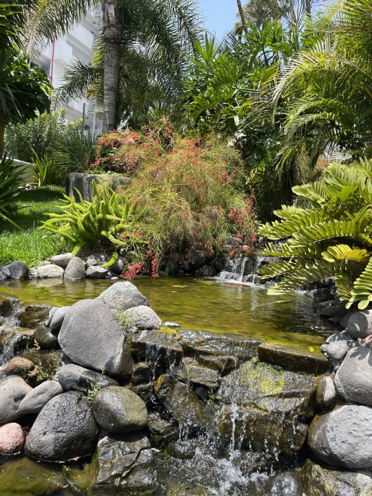 Gartenanlage allsun Hotel Lucana