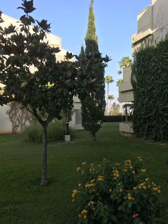 Gartenanlage Hipotels Mediterraneo Club