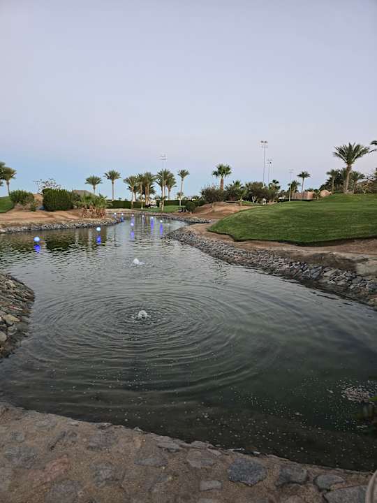 Gartenanlage Steigenberger ALDAU Beach Hotel
