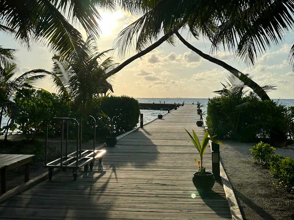 Ausblick Canareef Resort Maldives