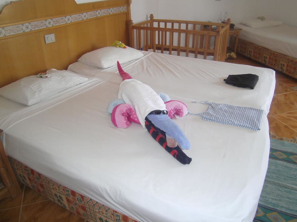 Krokodil Beach Albatros Resort