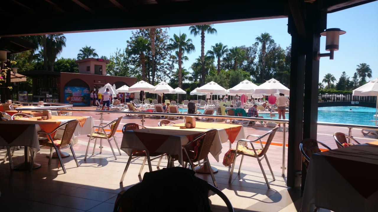 Gastro Arycanda Kirman Premium