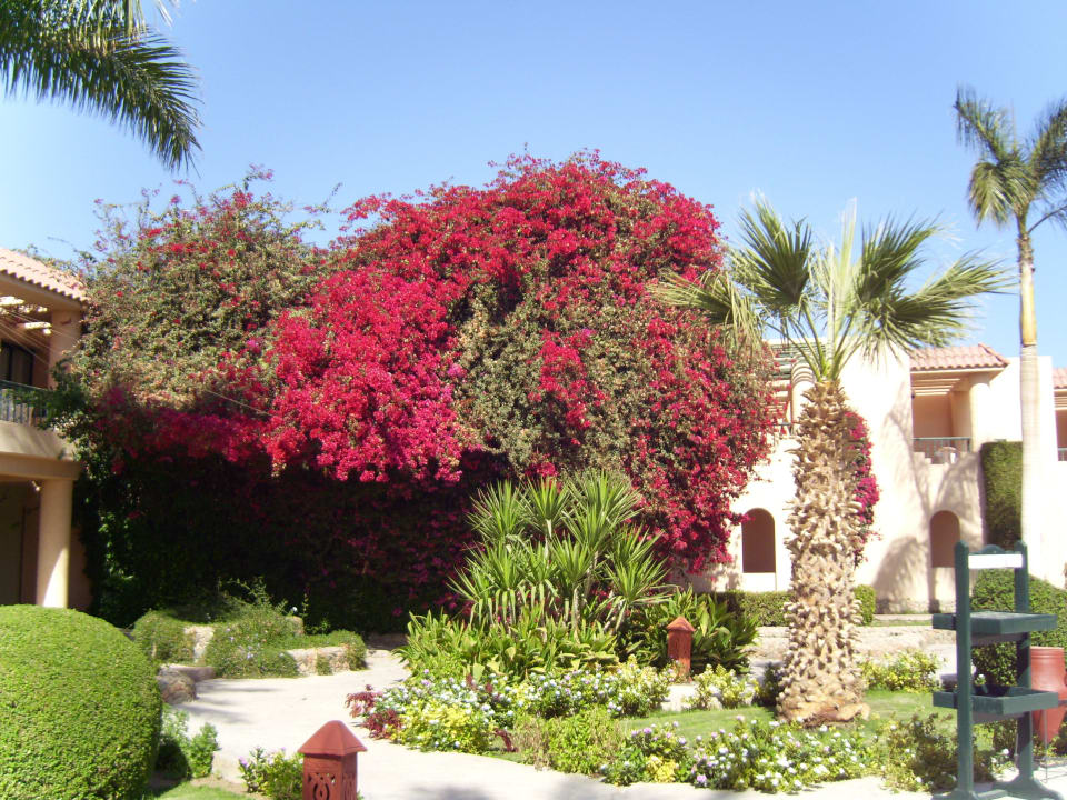 Gartenanlage Ali Baba Palace Hotel