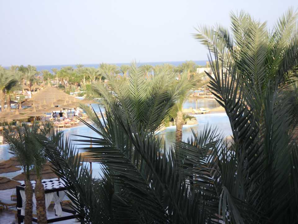 Anlage Pickalbatros Palace Resort