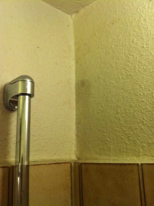 Stockfecken im Bad Hotel Stadt Hamm