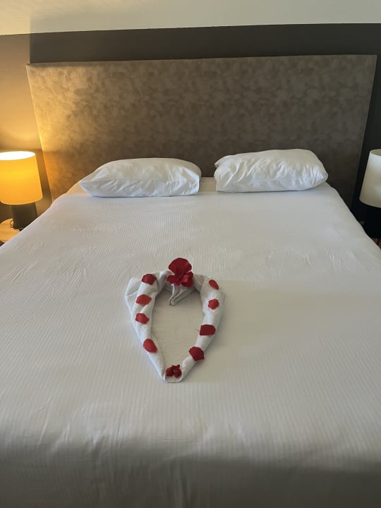 Zimmer PALOMA Perissia