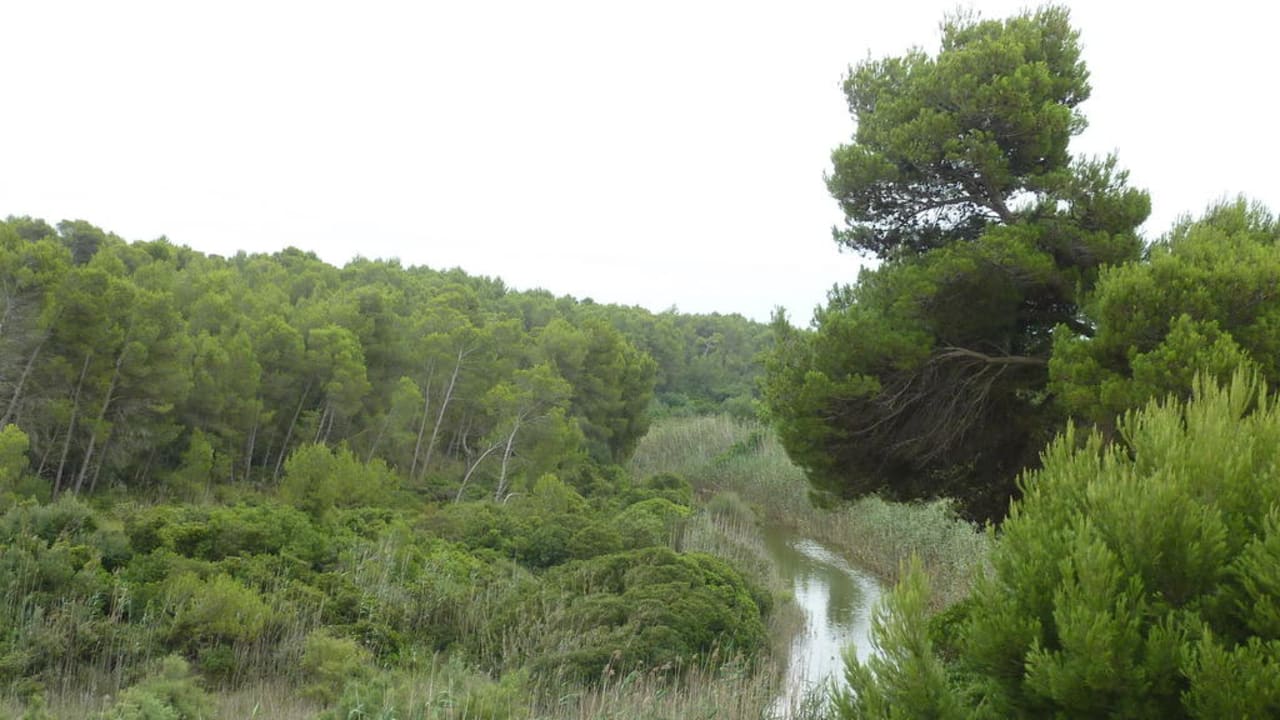 Blick Außenterrasse Hotel Exagon Park