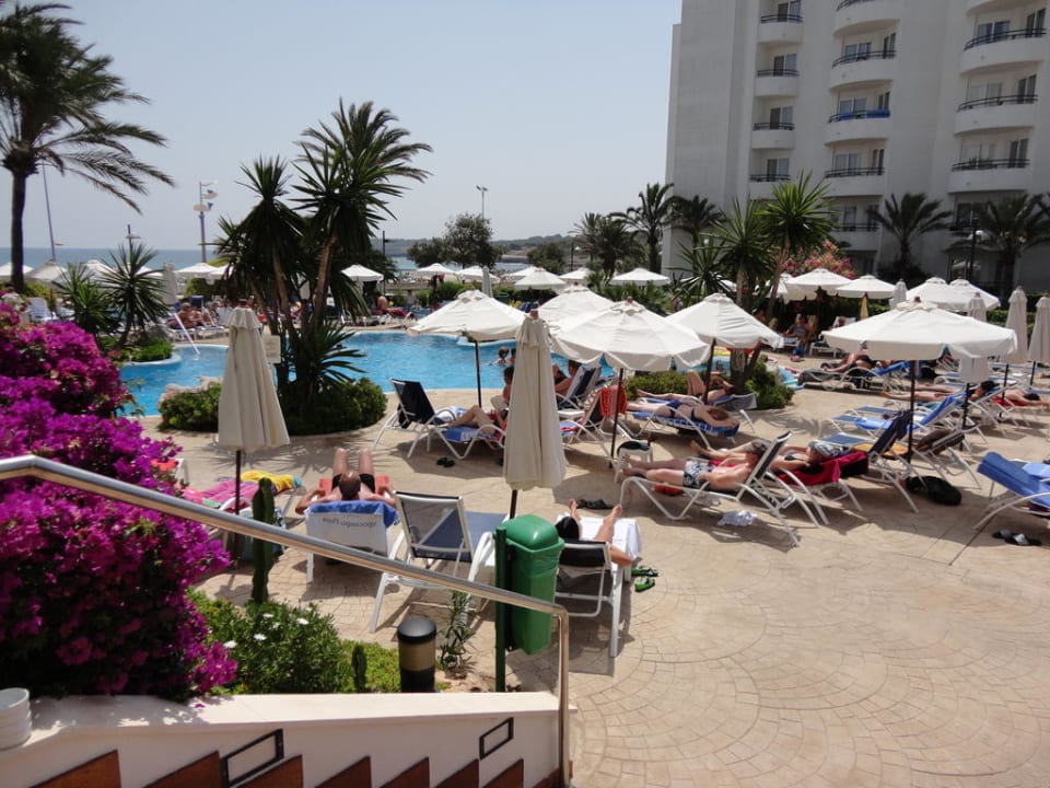 Pool Hipotels Hipocampo Playa