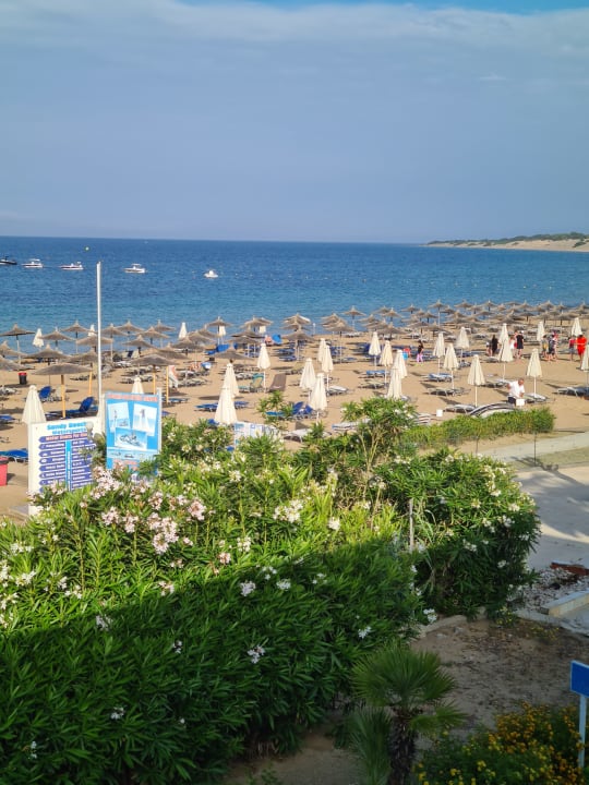 Ausblick Sandy Beach Resort