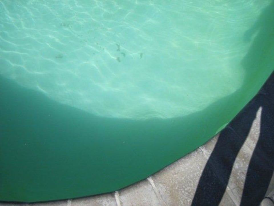Sauberkeit pool??? Sunrise Attitude - Adults Only