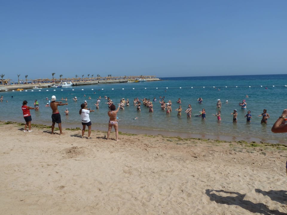 Wassergymnastik Beach Albatros Resort