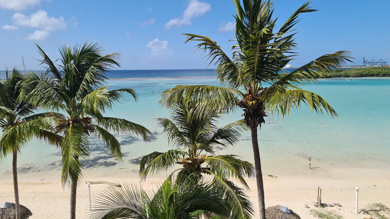Ausblick whala!boca chica