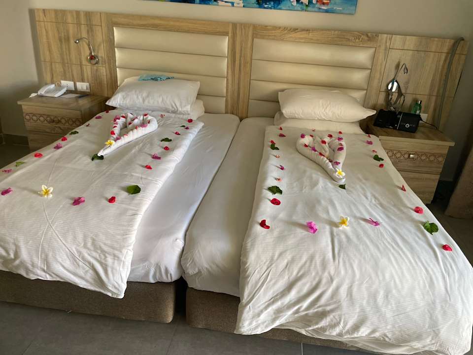 Zimmer Pickalbatros Sea World Resort - Marsa Alam