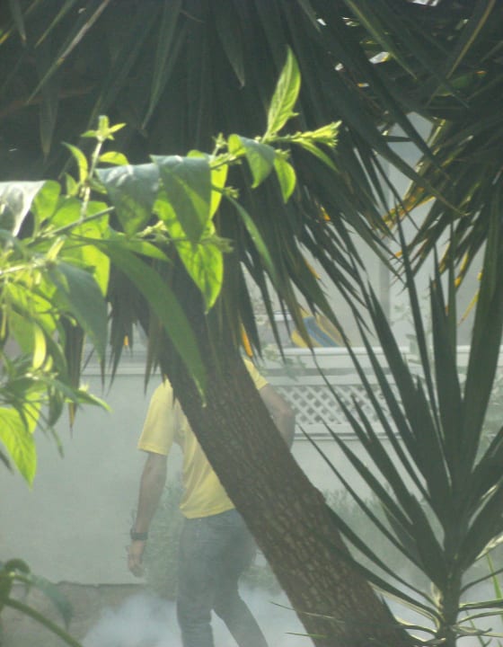 Gartenanlage Hotel Sirma