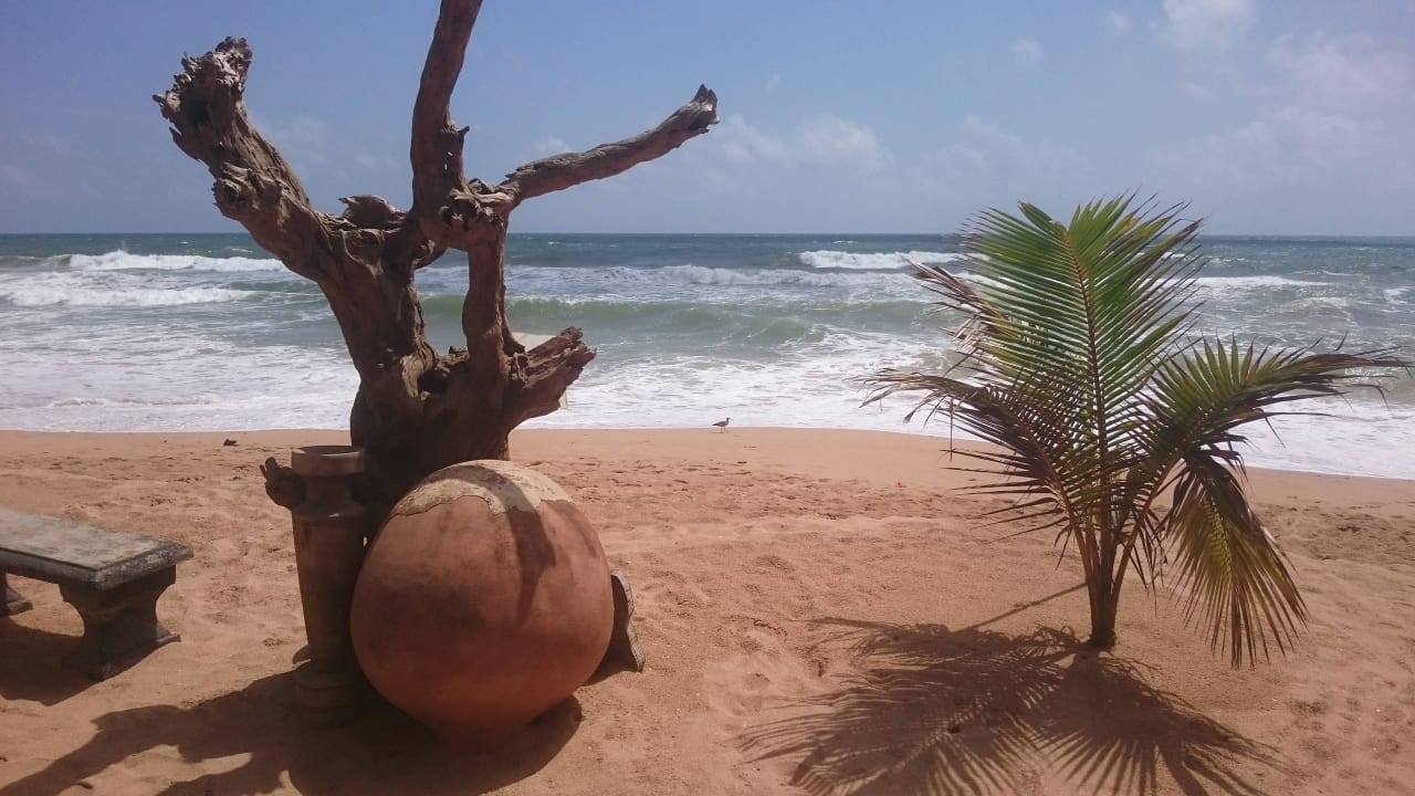 Plaża Royal Beach Resort