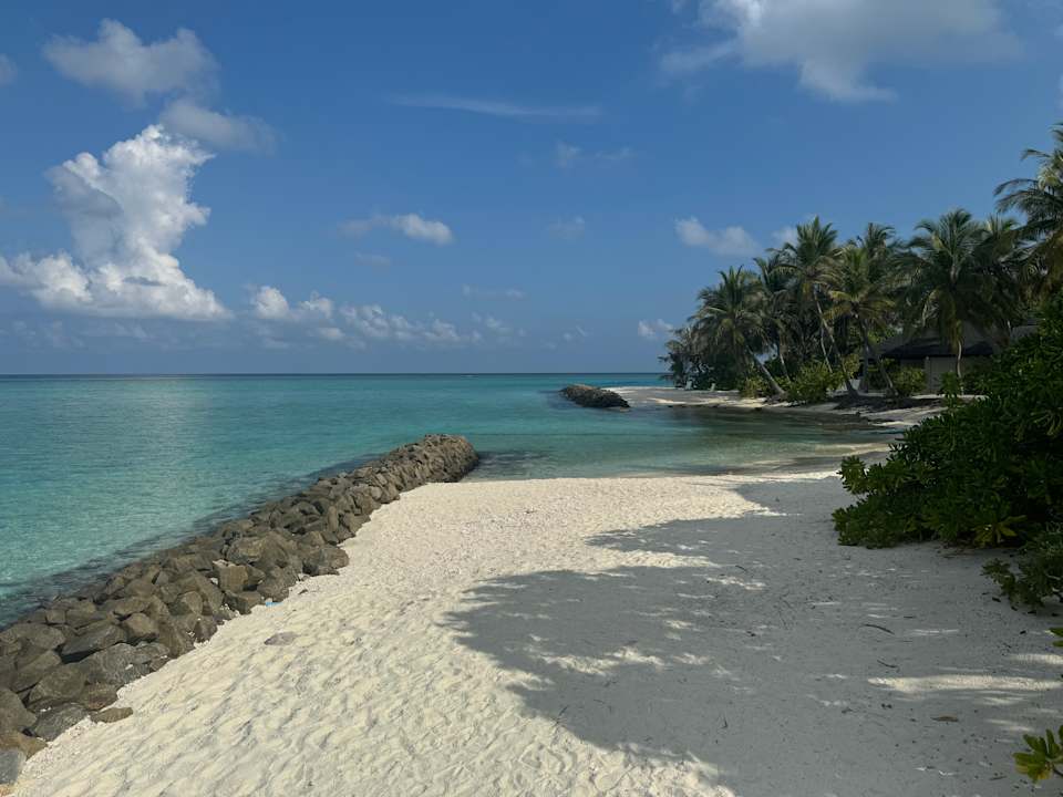 Strand Summer Island Maldives