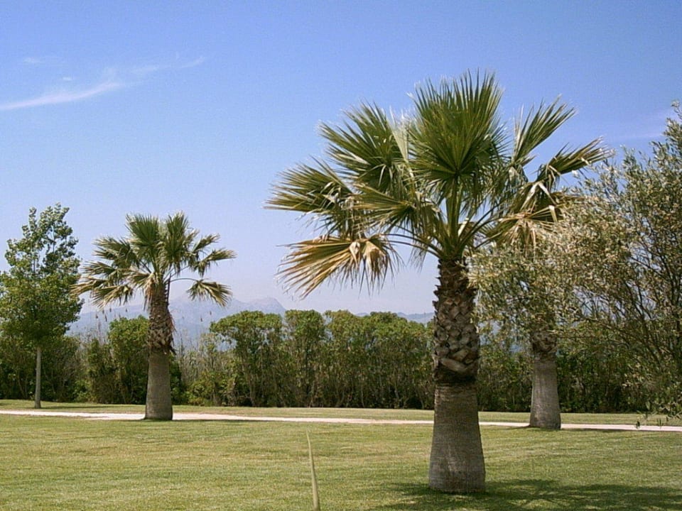 Ansicht hinter den Bungalows Valentin Playa de Muro