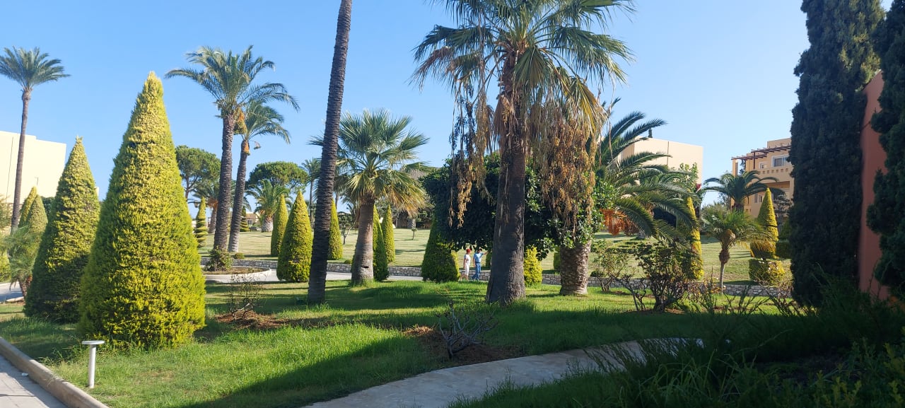 Gartenanlage Hotel Horizon Beach Resort