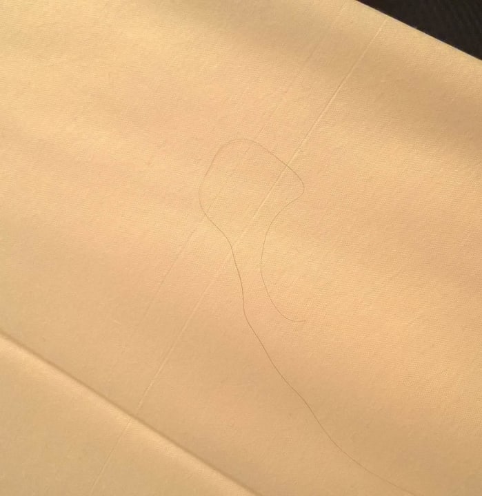 Haare im bett ibis Paris Coeur d'Orly Airport