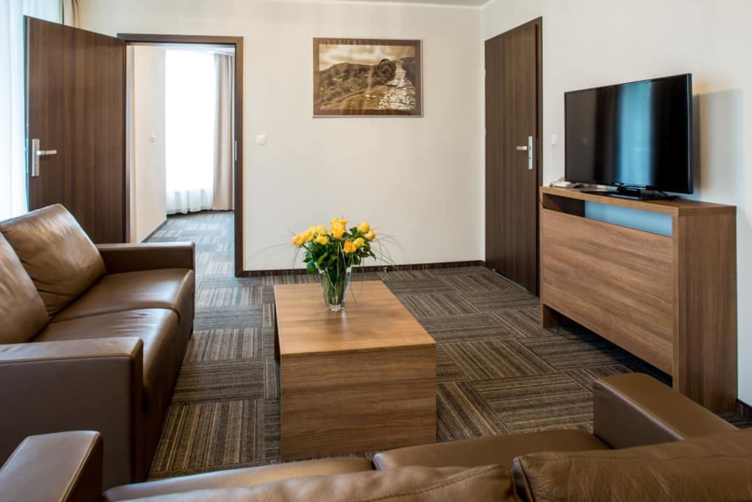 Apartament - Salon Hotel Wilga Ustroń
