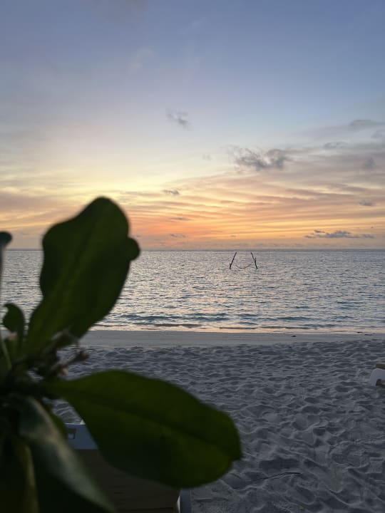 Strand Summer Island Maldives