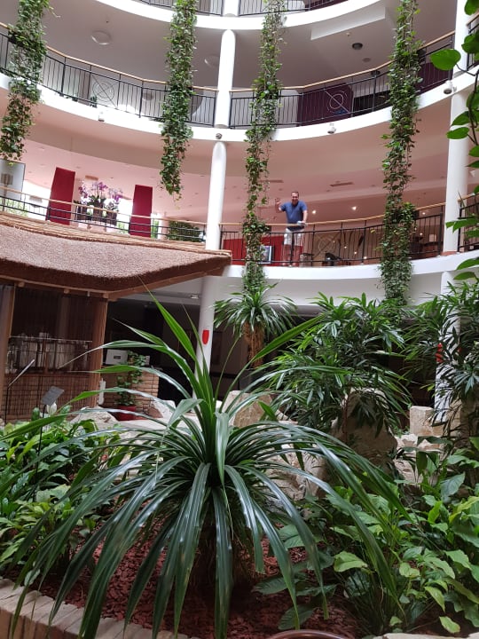 Sonstiges Lotus Therme Hotel & Spa