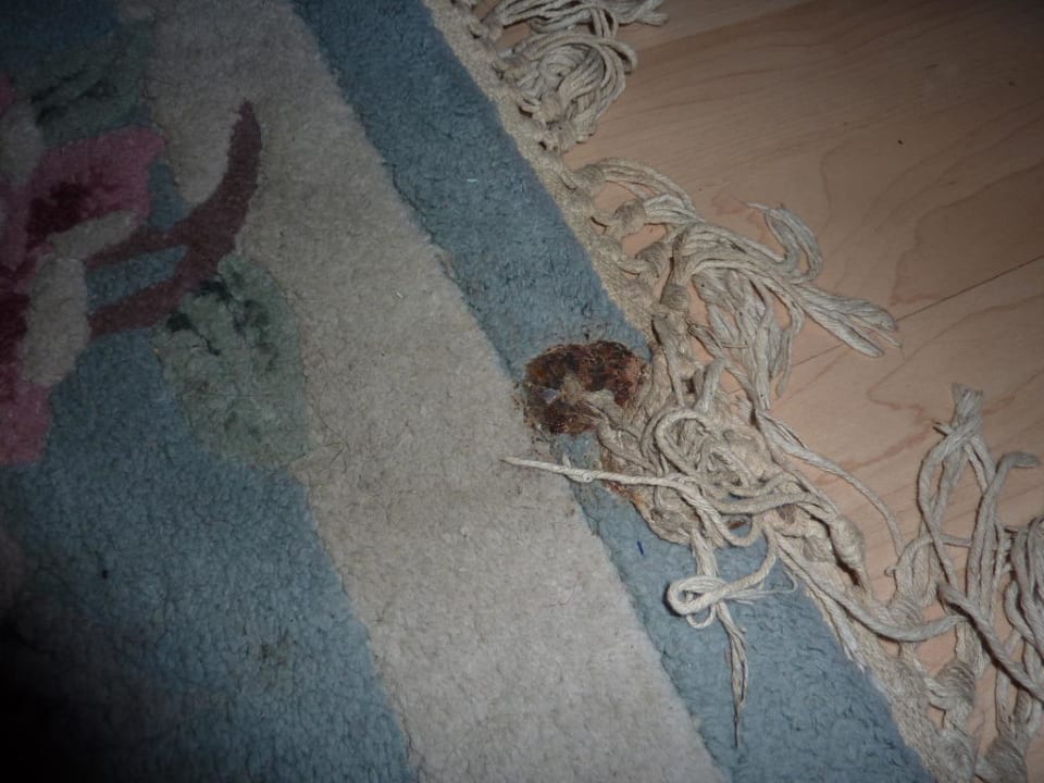 Teppich im Flur, uralter Fleck Sonnenmatte-Titisee B+B Hotel Guesthouse