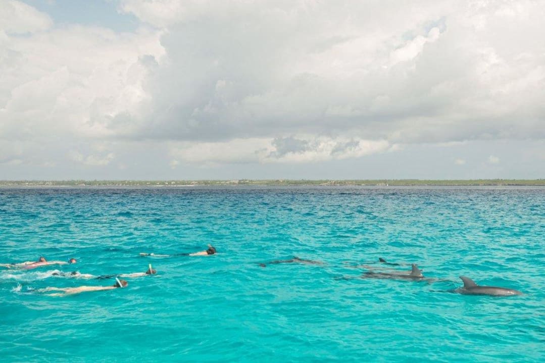 Snorkeling with Dolphins Matemwe Beach House