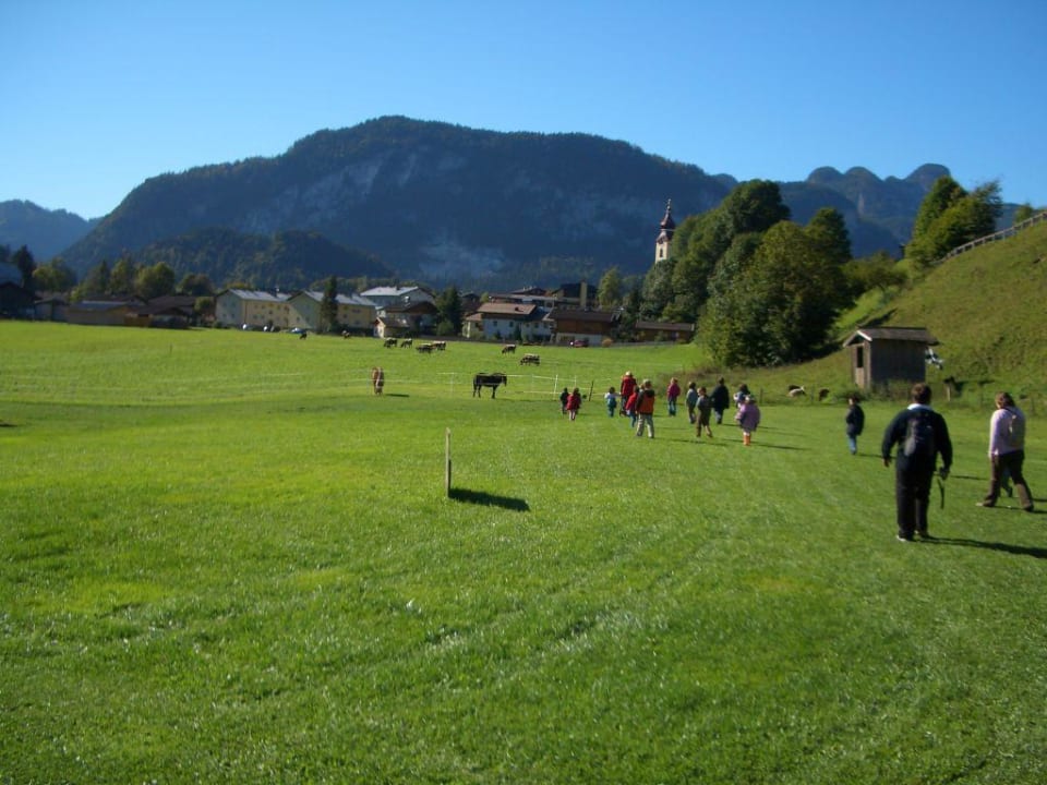 Tiere füttern POST Family Resort