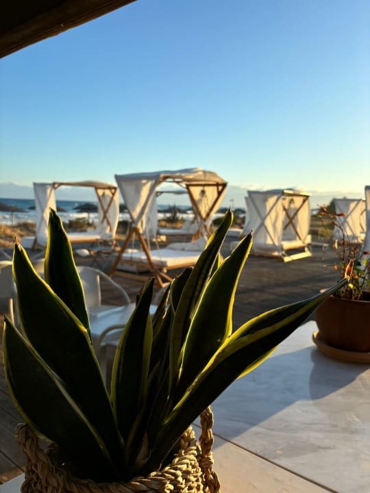 Strand Grecotel LUXME Costa Botanica