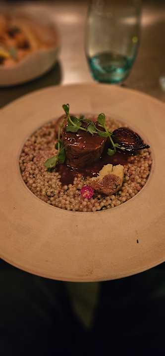 Gastro Lara Barut Collection