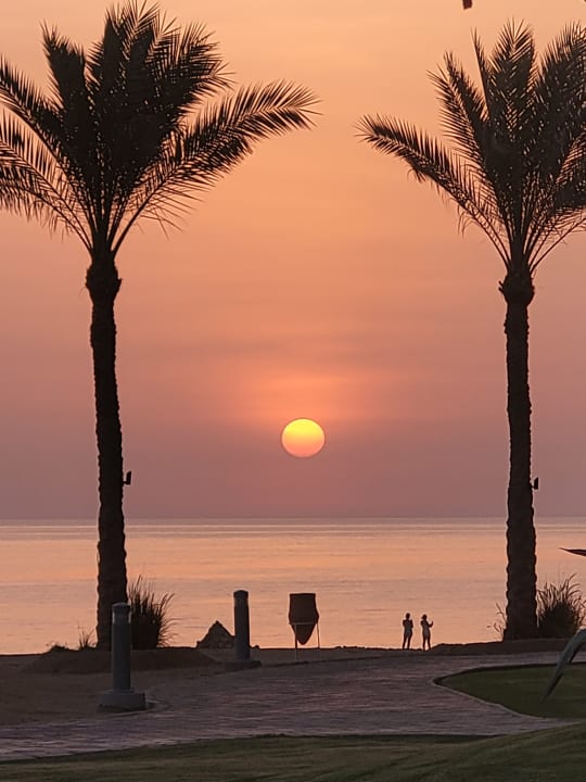 Ausblick Steigenberger Coraya Beach - Adults only