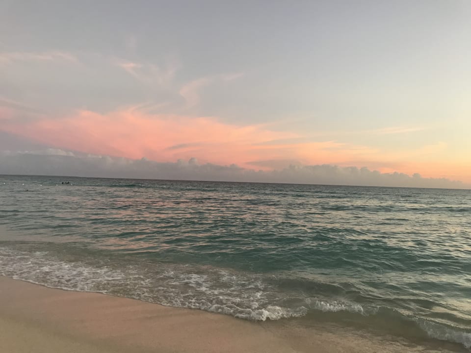 Strand Hotel Viva Dominicus Palace by Wyndham-All Inclusive Resort