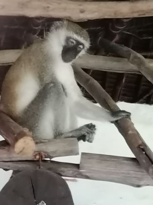 Sonstiges Bahari Beach Hotel