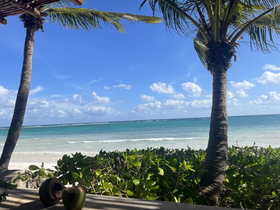 Strand Akumal Bay Beach & Wellness Resort