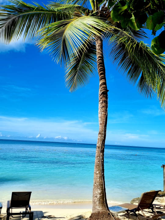 Strand Secrets La Romana Resort & Spa - Adult Only