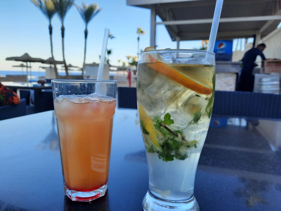 Gastro Pickalbatros Citadel Resort