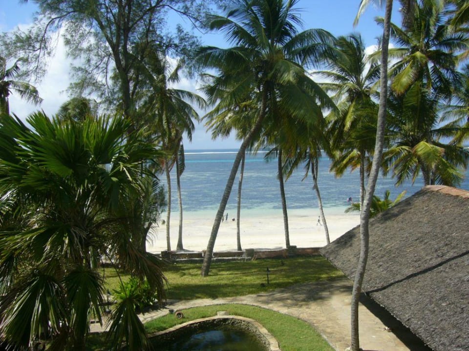 Aussicht vom Zimmer Hotel Dolphin