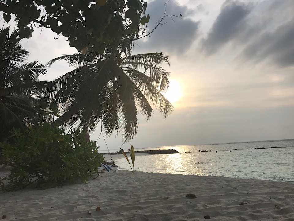 Strand Summer Island Maldives