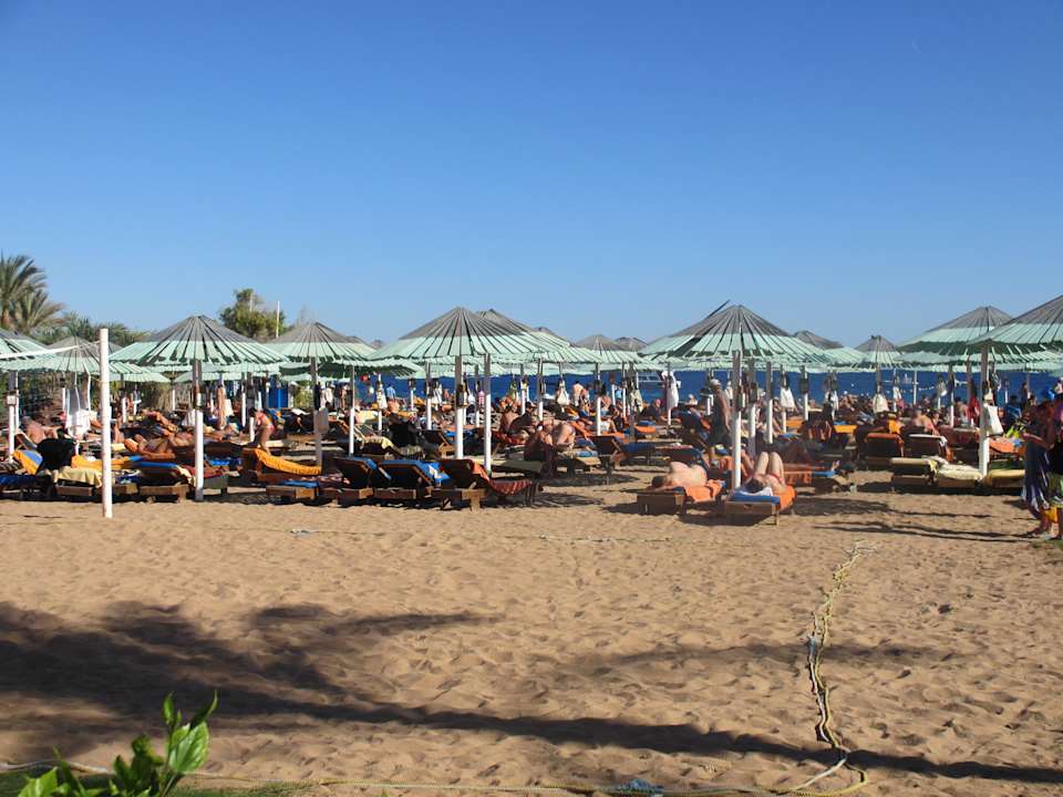 Gegen Mittag Ghazala Gardens