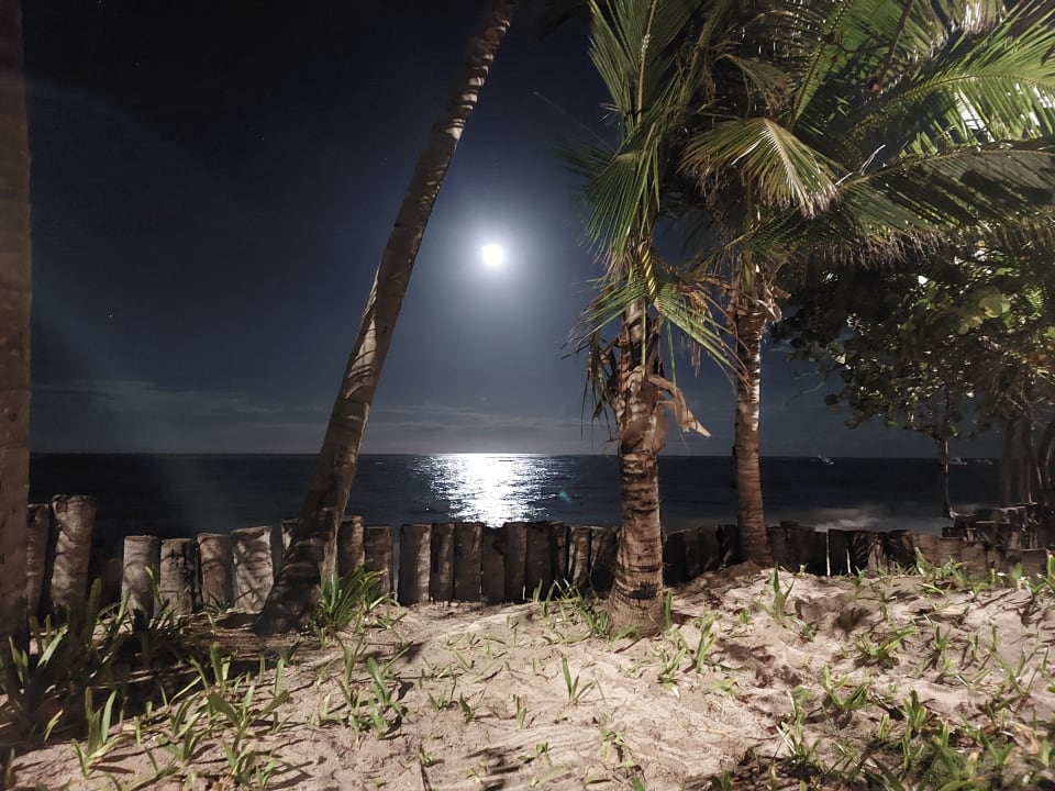 Gartenanlage TRS Turquesa Hotel - Adults only