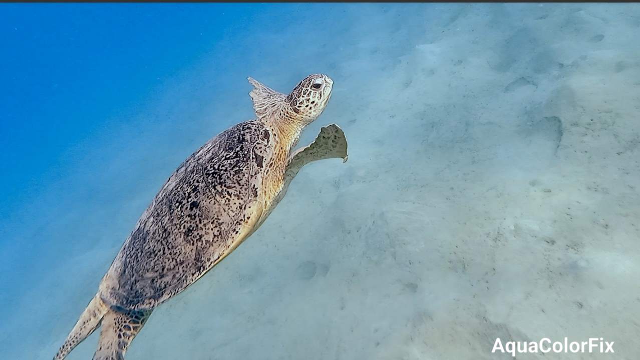 Strand Casa Mare Resort