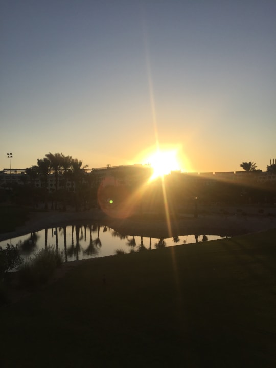 Gartenanlage Steigenberger Aqua Magic