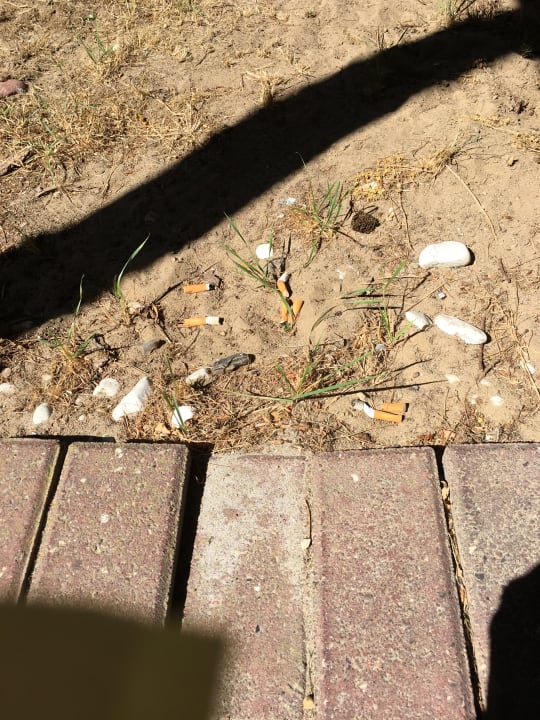 Außenansicht Ferienparadies Klingberg