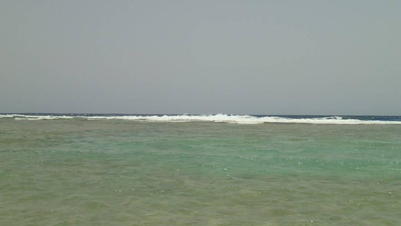 Widok z plaży Three Corners Sea Beach Resort