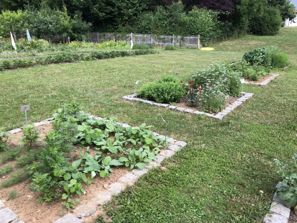 Gartenanlage Hotel Sturm Bio- & Wellnesshotel in der Rhön