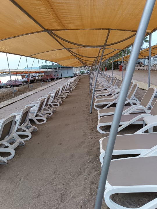 Strand Arycanda Kirman Premium