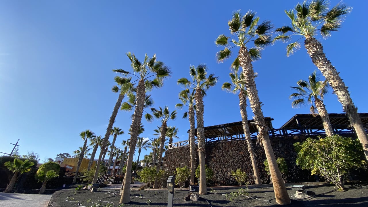 Gartenanlage Occidental Jandía Royal Level - Adults only