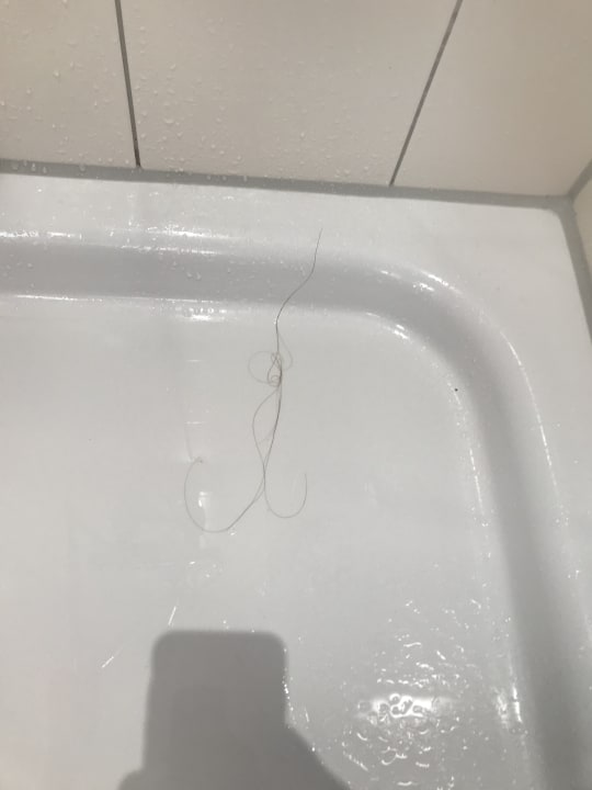 Zimmer BEECH Resort Boltenhagen