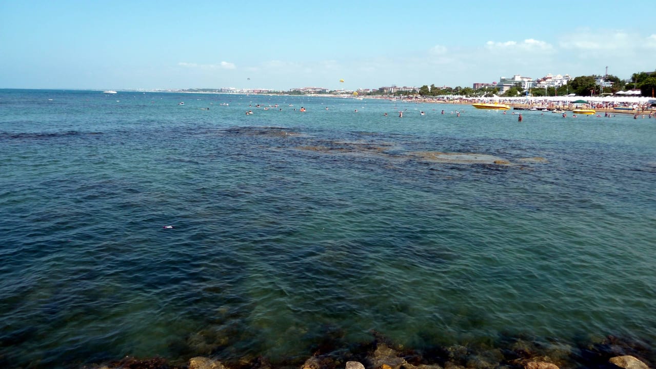 Klares Wasser schön für Schnorchler Merve Sun Hotel & Spa